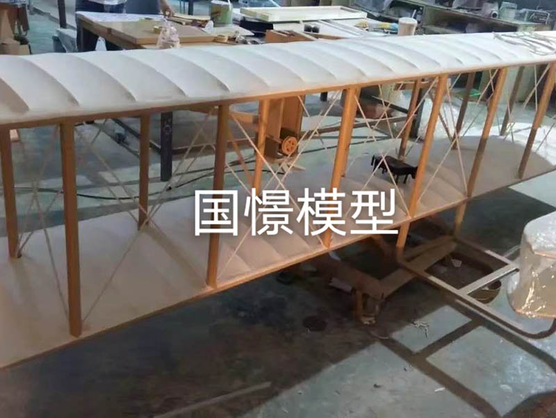 西林县飞机模型