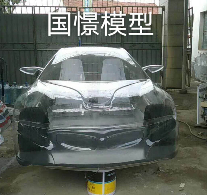 西林县透明车模型